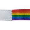  Rainbow lanyard