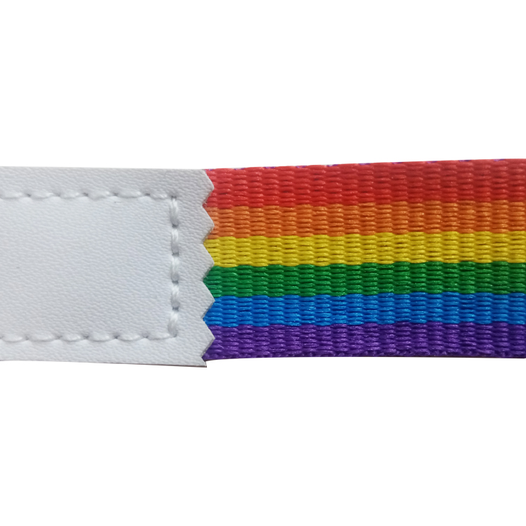  Rainbow lanyard