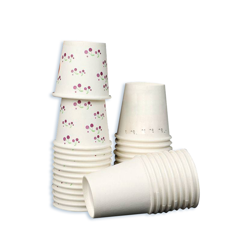 Paper Cup