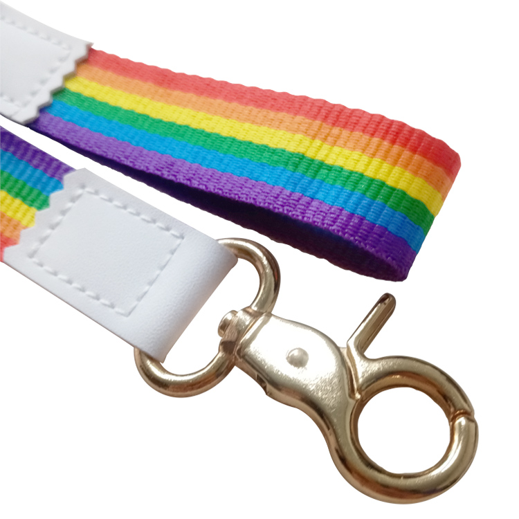  Rainbow lanyard