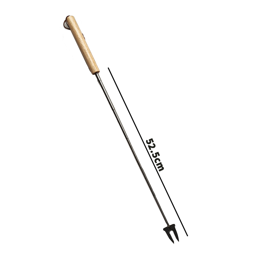 Telescopic BBQ fork